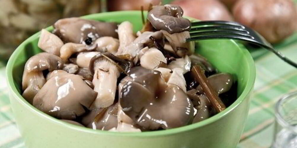 Рецепт маринованные вешенки