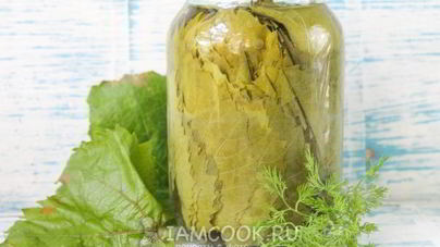 Маринованные виноградные листья на зиму
