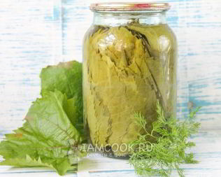 Маринованные виноградные листья на зиму