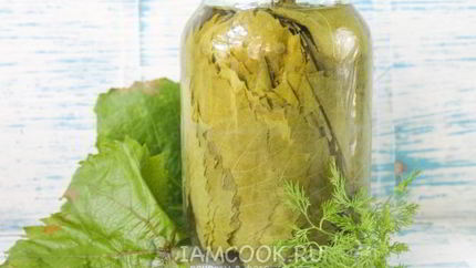 Маринованные виноградные листья на зиму