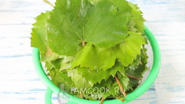 маринованные виноградные листья на зиму