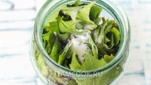 маринованные виноградные листья на зиму