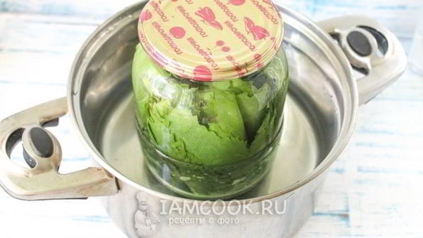 маринованные виноградные листья на зиму