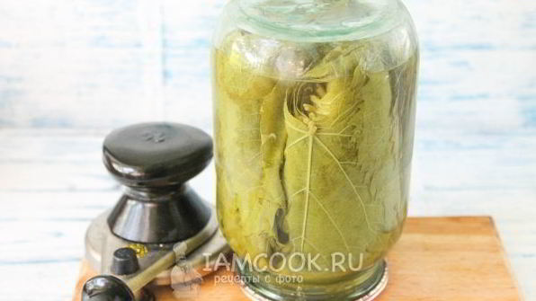 маринованные виноградные листья на зиму