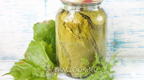 маринованные виноградные листья на зиму
