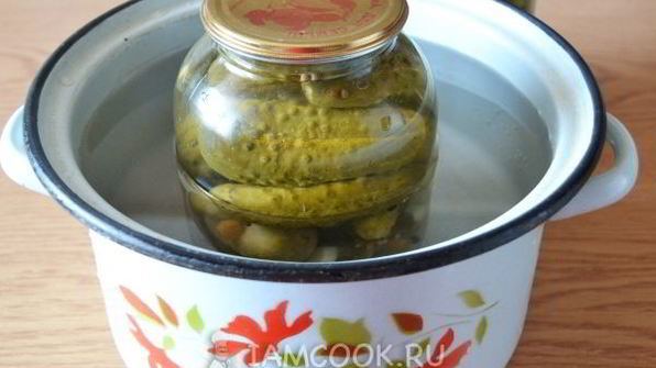 огурцы маринованные по-болгарски