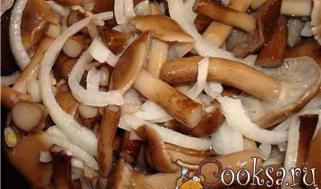 Опята маринованные с луком на зиму