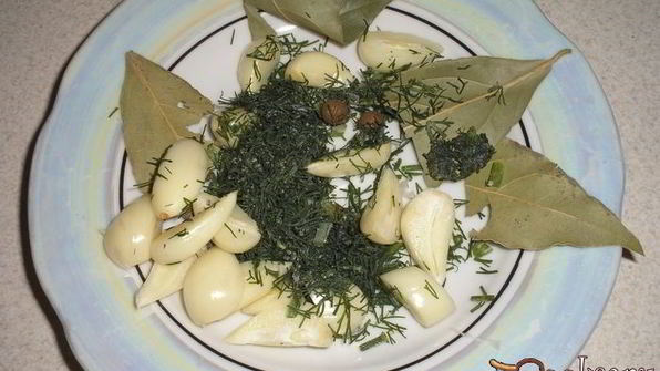 опята маринованные с луком на зиму