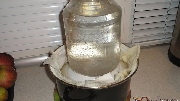 опята маринованные с луком на зиму