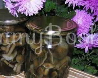 Опята маринованные