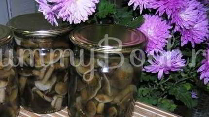 Опята маринованные