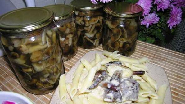 опята маринованные