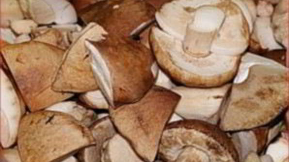 подберезовики маринованные