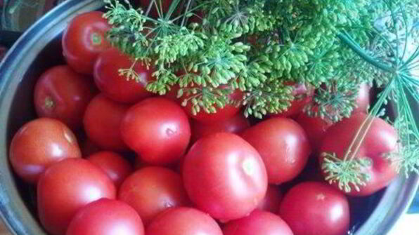 помидоры маринованные с базиликом