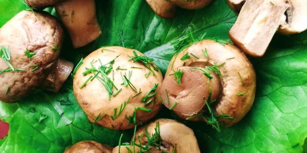 Рецепт шампиньоны маринованные