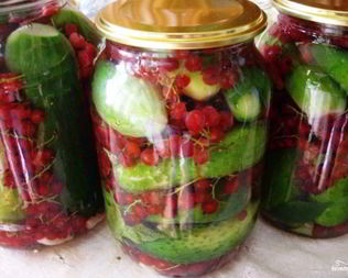 Огурцы на зиму со смородиной