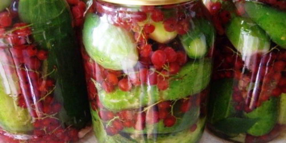 Рецепт огурцы на зиму со смородиной