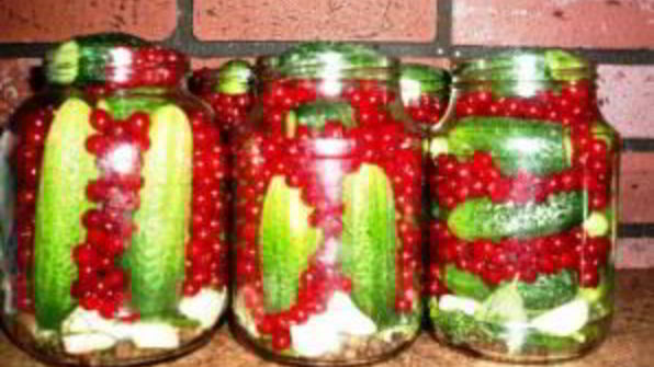 огурцы на зиму со смородиной