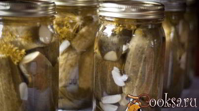 Огурцы с чесноком и укропом на зиму