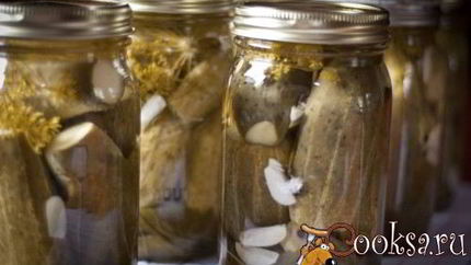 Огурцы с чесноком и укропом на зиму