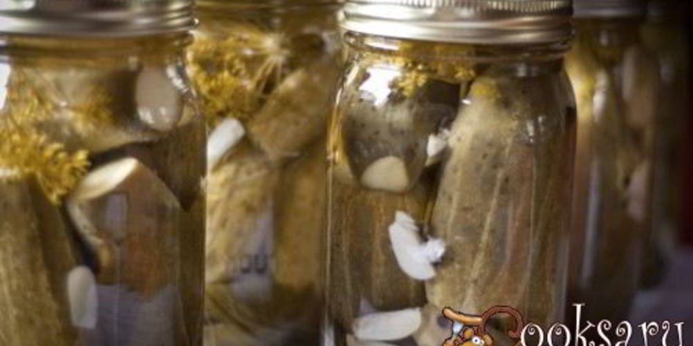 Рецепт огурцы с чесноком и укропом на зиму