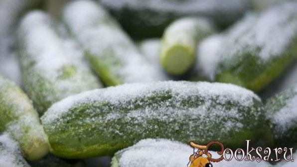 огурцы с чесноком и укропом на зиму