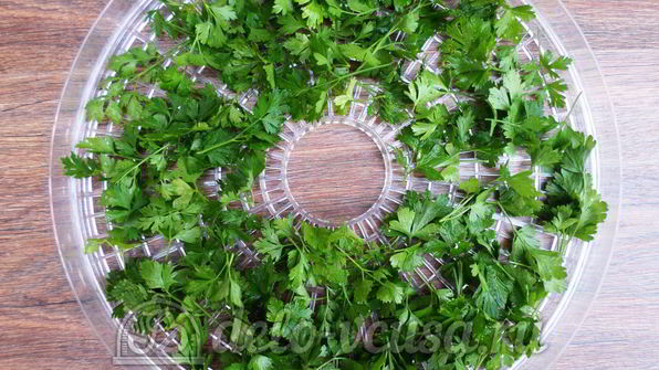 овощная приправа