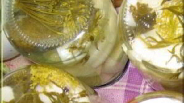 патиссоны, консервированные на зиму