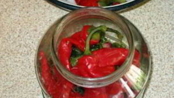 перец чили на зиму