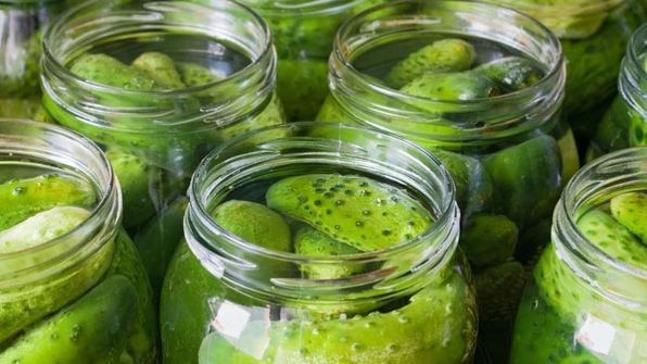 популярный холодный способ засолки огурцов на зиму