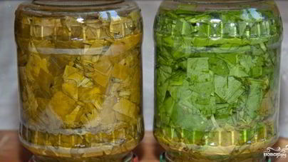 Щавель на зиму в банках