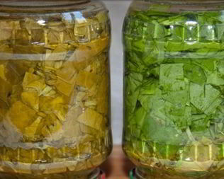 Щавель на зиму в банках