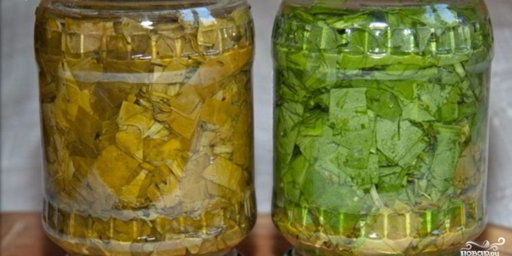 Рецепт щавель на зиму в банках