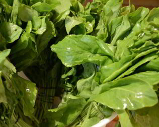 Щавель на зиму в микроволновке