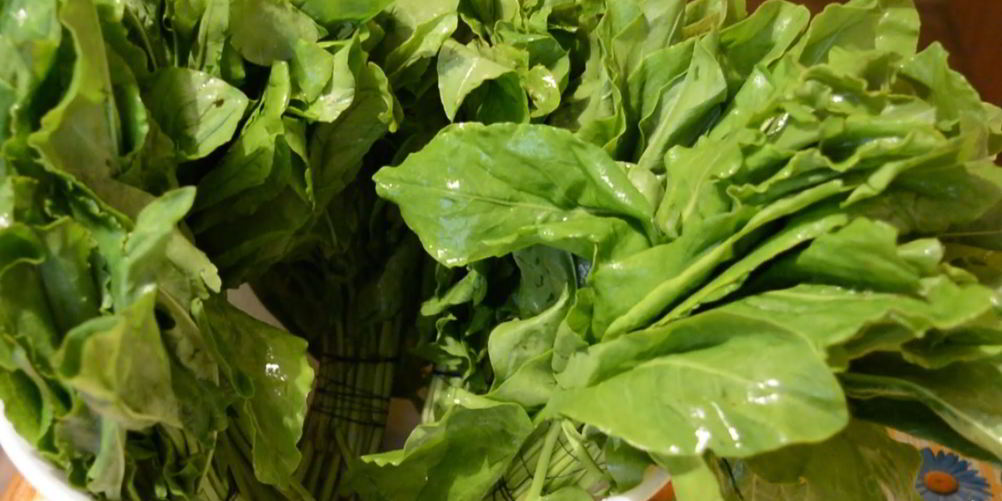 Рецепт щавель на зиму в микроволновке