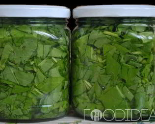 Щавель на зиму