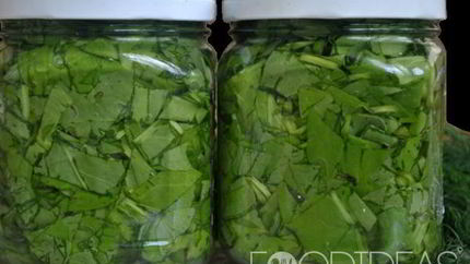 Щавель на зиму