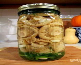 Соление грибов на зиму