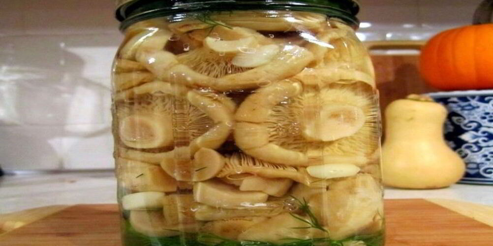 Рецепт соление грибов на зиму