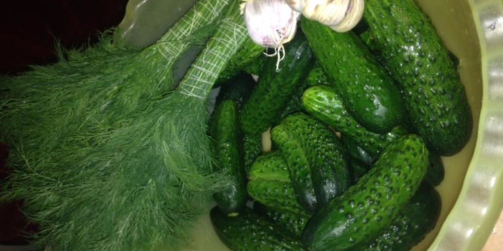 Рецепт быстрые малосольные огурцы