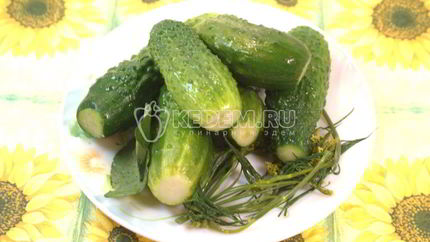 Малосольные огурчики