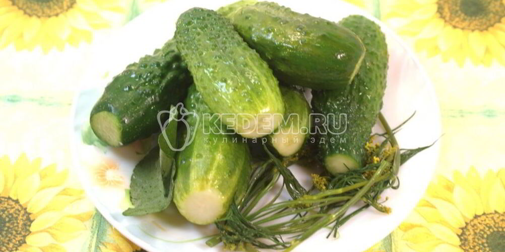 Рецепт малосольные огурчики