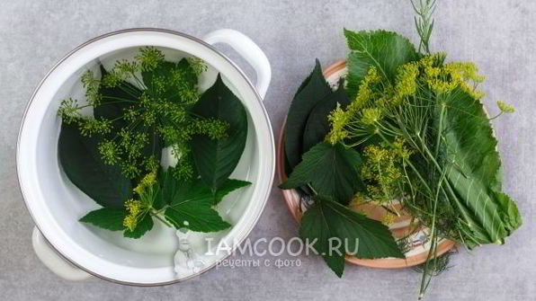 малосольные огурцы в кастрюле