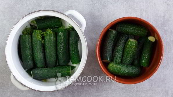 малосольные огурцы в кастрюле