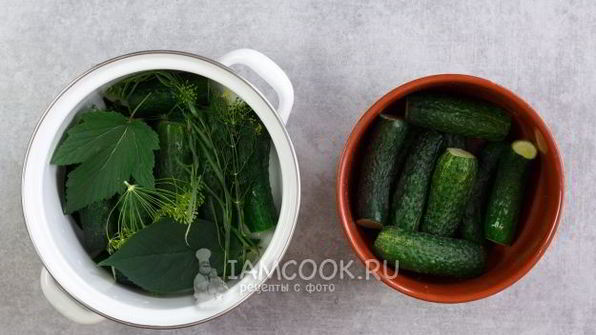 малосольные огурцы в кастрюле