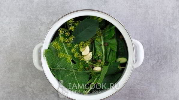 малосольные огурцы в кастрюле