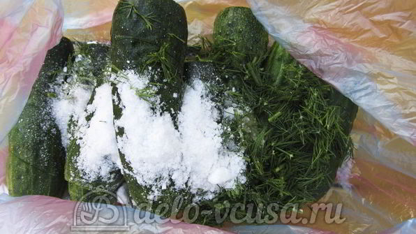 малосольные огурцы в пакете