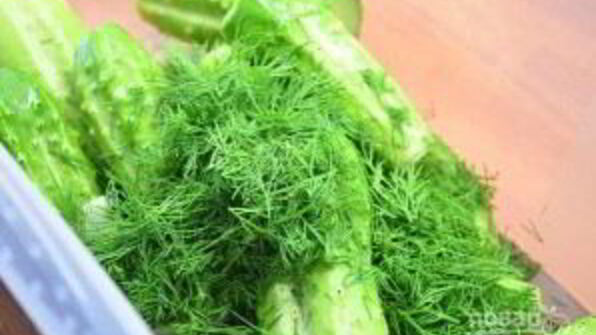 малосольные огурцы