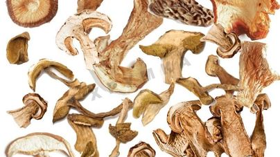 Сушка грибов в духовке