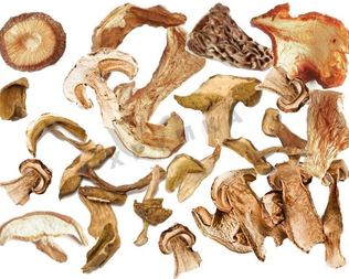 Сушка грибов в духовке